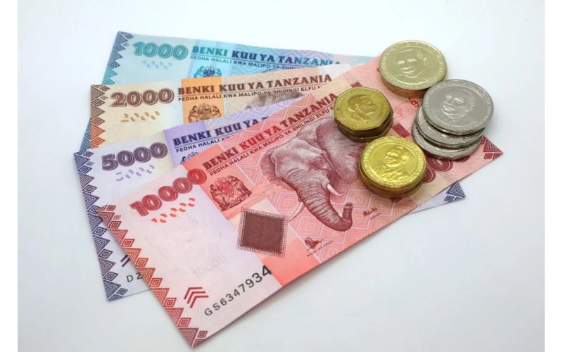 Currency in Tanzania