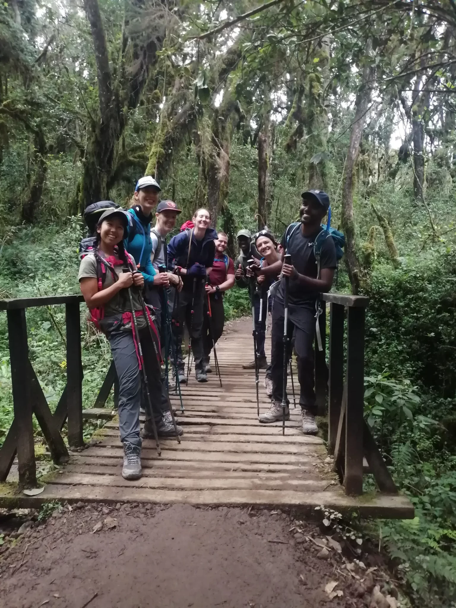 Mweka Camp to Mweka Gate