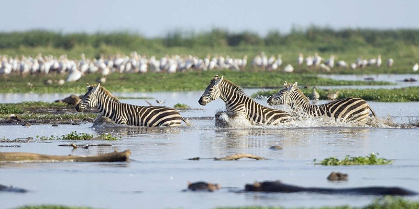 Lake Manyara National Park