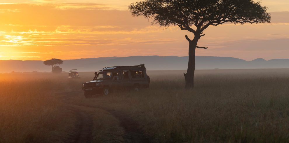 6-Day Luxury Safari