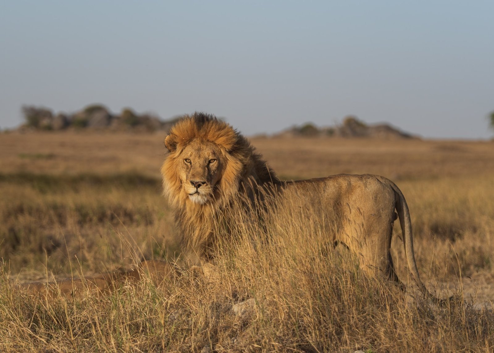 7-day-big-five-safari-in-northern-circuit-tanzania_KLGhb