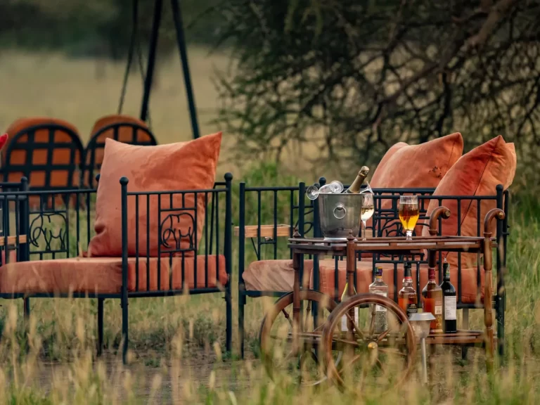 Intimate Camp Seronera 7