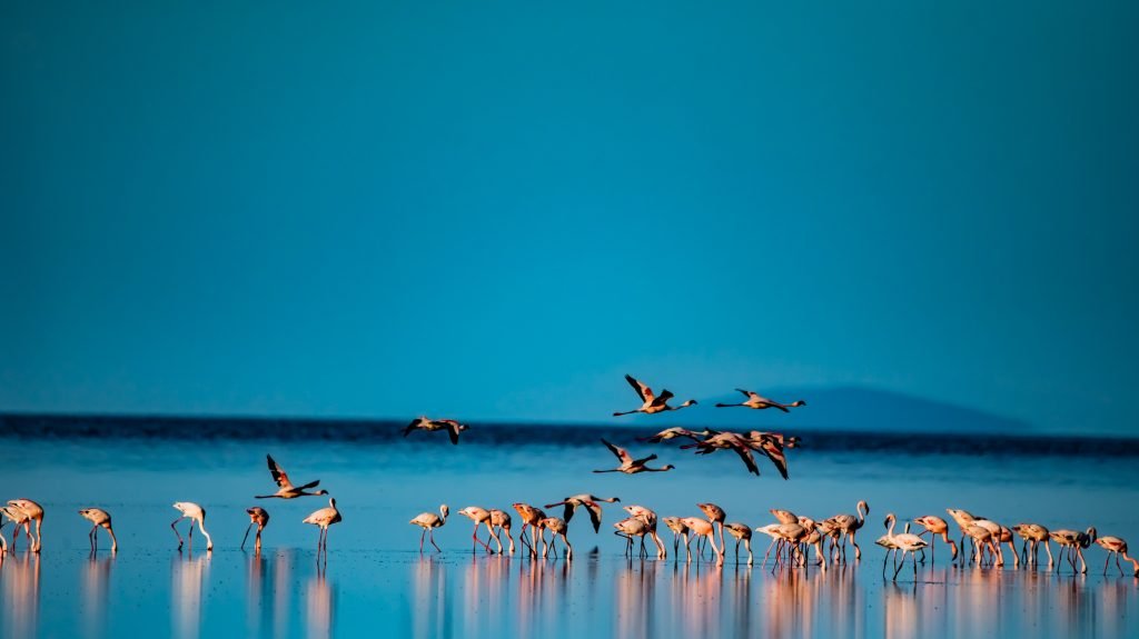 Lake Natron Tanzania