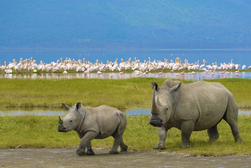 Ngorongoro-Crater-5