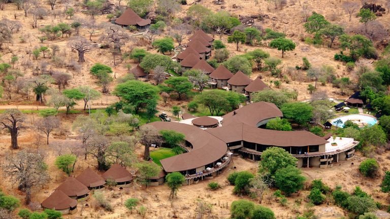 Tarangire Sopa Lodge safari 2