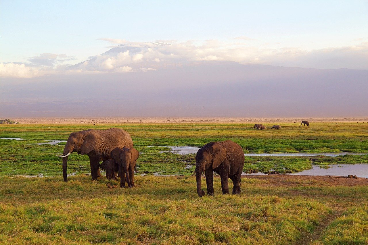 arusha -tarangire