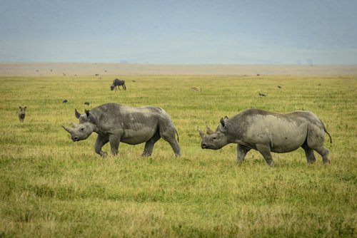 things-to-do-in-ngorongoro-crater