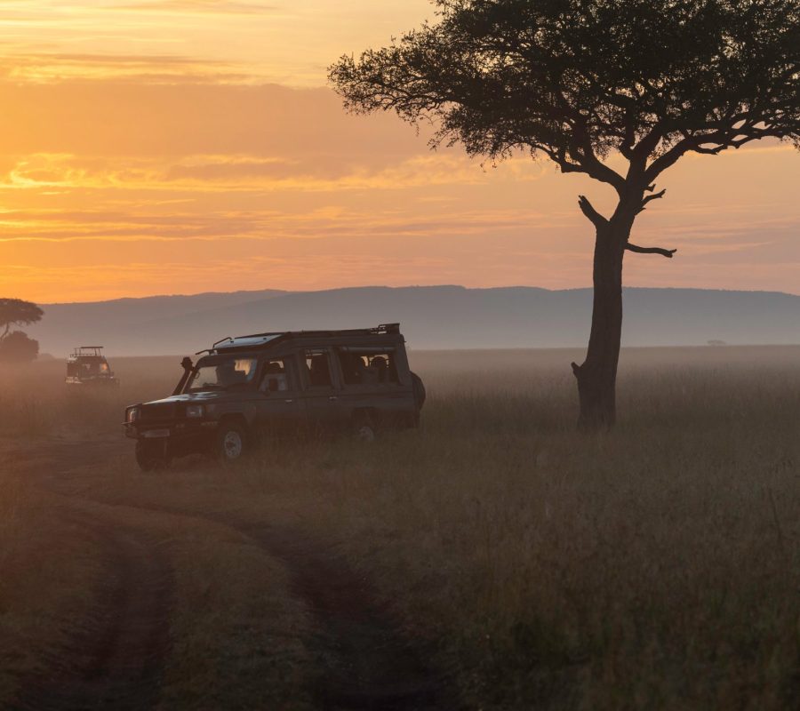6-Day Luxury Safari 6-Day Luxury Safari